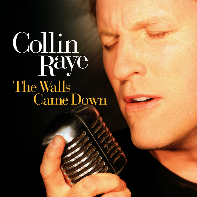 The Walls Came Down album cover