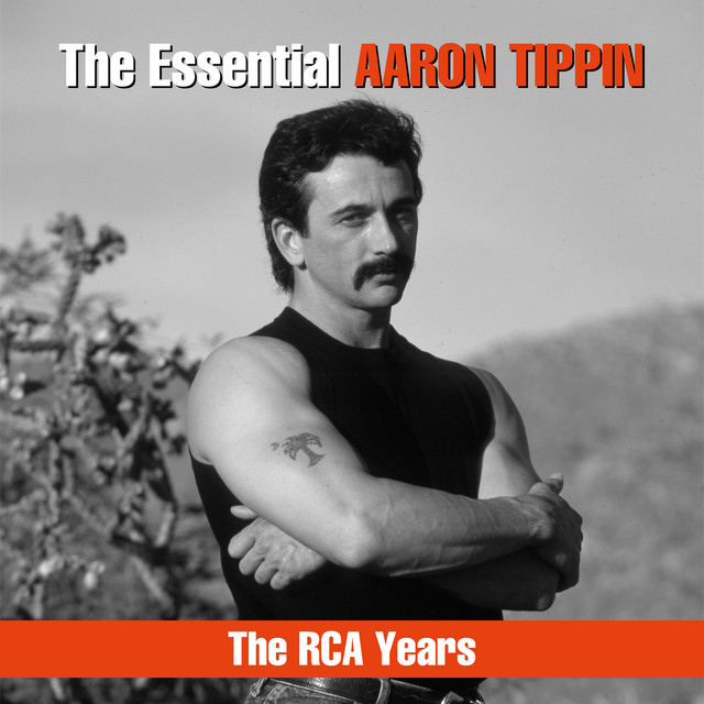 The Essential Aaron Tippin - The RCA Years album cover
