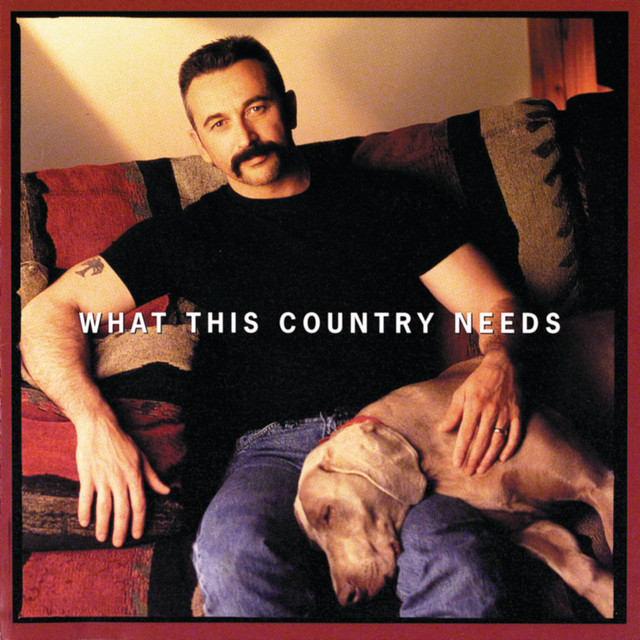 What This Country Needs album cover