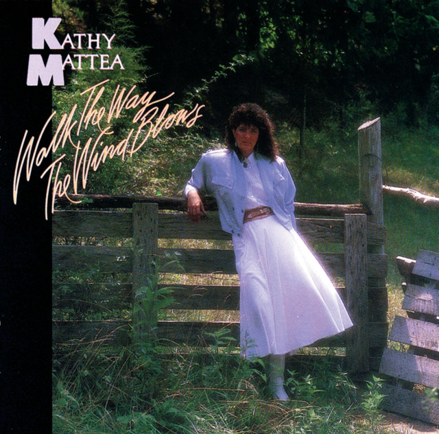 Walk The Way The Wind Blows album cover