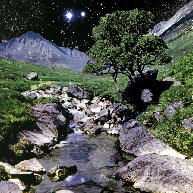 The Beta Band album cover