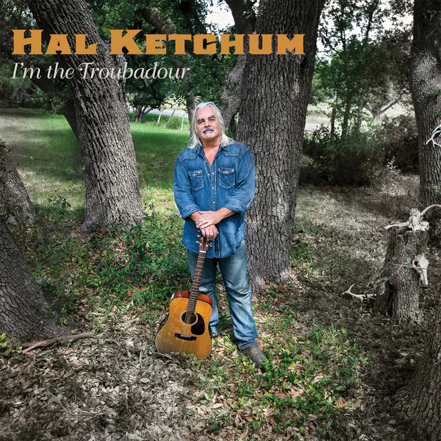 I'm the Troubadour album cover