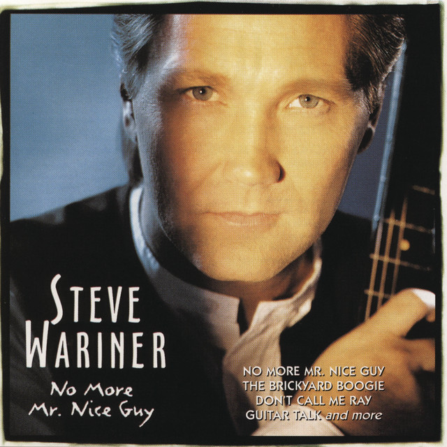 No More Mr. Nice Guy album cover