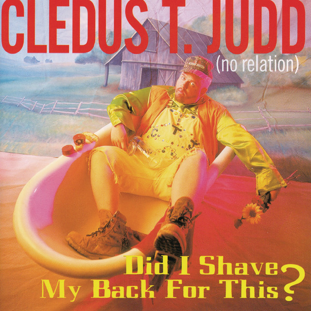 Did I Shave My Back For This? album cover