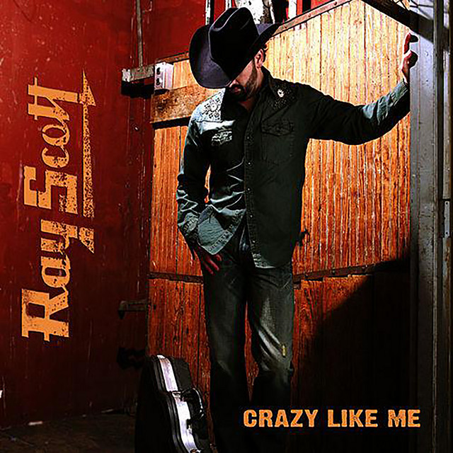 Crazy Like Me album cover