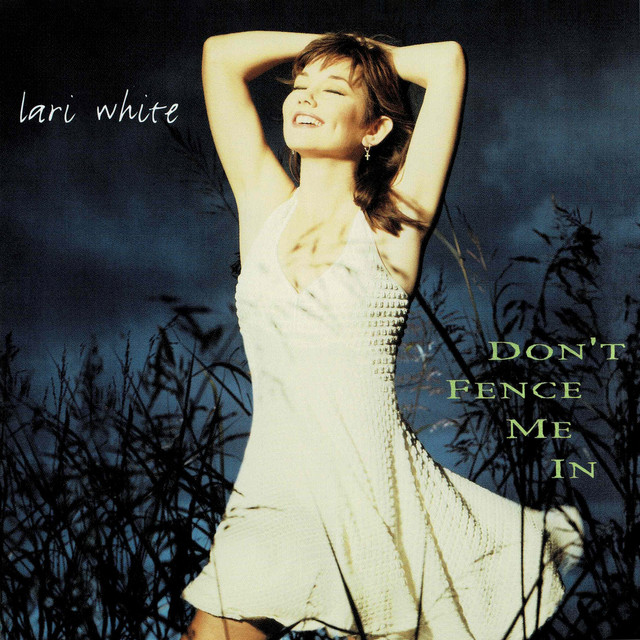 Don't Fence Me In album cover