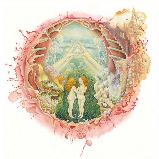 Arm's Way album cover