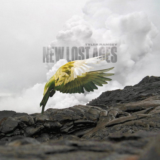 New Lost Ages album cover