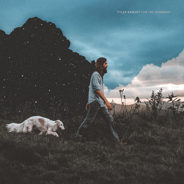 For The Morning album cover
