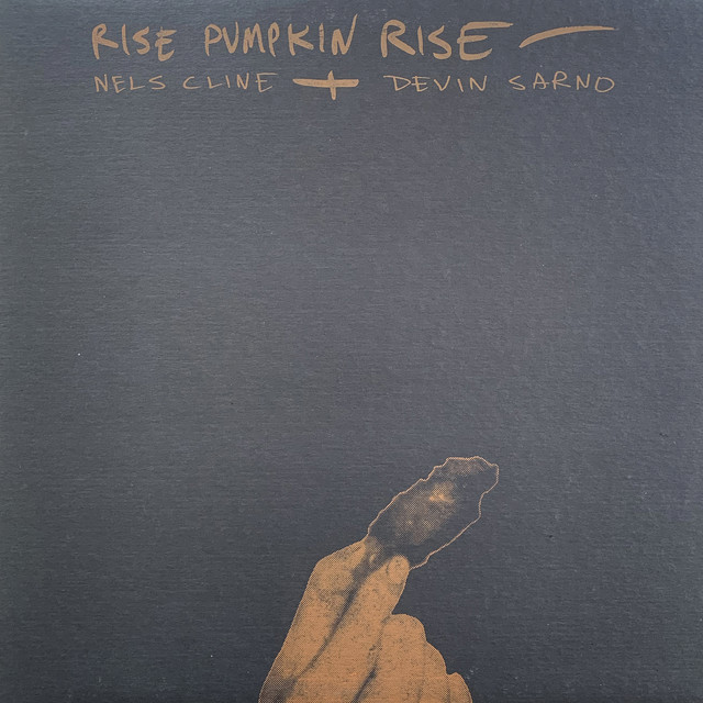 Rise Pumpkin Rise album cover