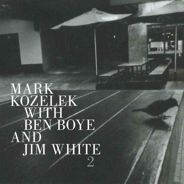 Fender 'Tweed' Pro Amp 5B5, 5C5 as heard on Mark Kozelek with Ben Boye and Jim White 2 by Mark Kozelek (2020)