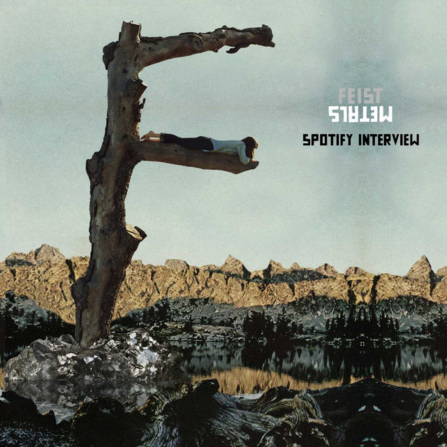 Metals (Spotify Interview) album cover