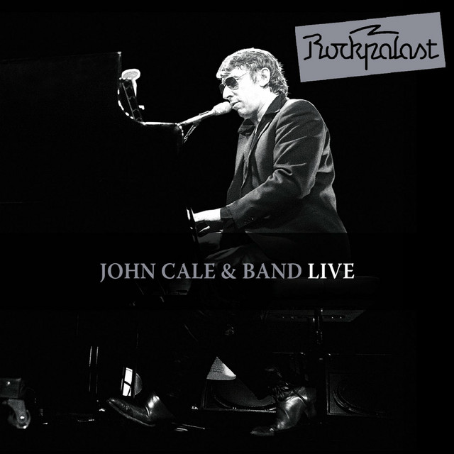 Mesa/Boogie .22 Studio Combo as heard on Live At Rockpalast (Live at Zeche Bochum 06.03.1983 & at Grugahalle Essen 13./14.10.1984) by John Cale (2010)