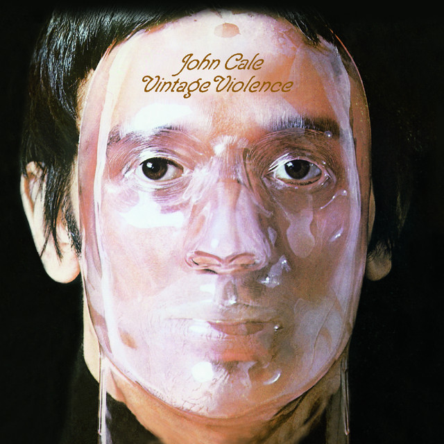 Vintage Violence album cover