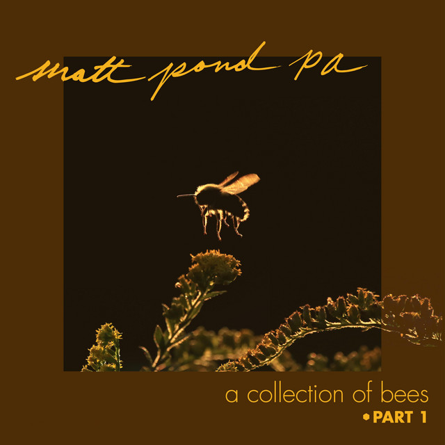 A Collection of Bees, Pt. 1 album cover