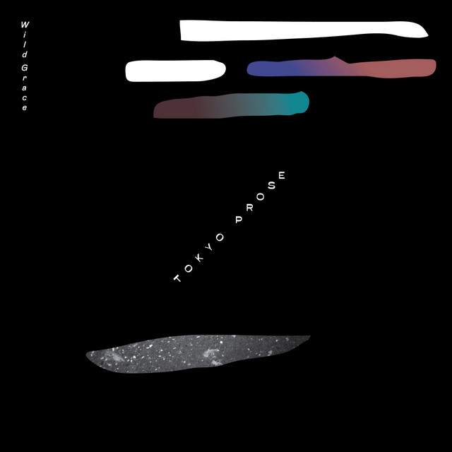 Wild Grace album cover