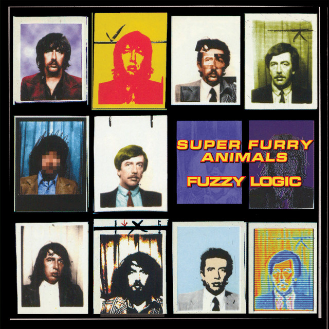 Fuzzy Logic album cover