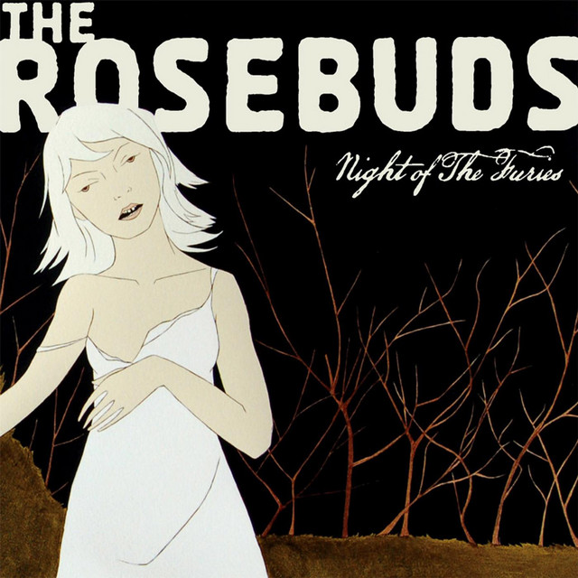Night of the Furies album cover