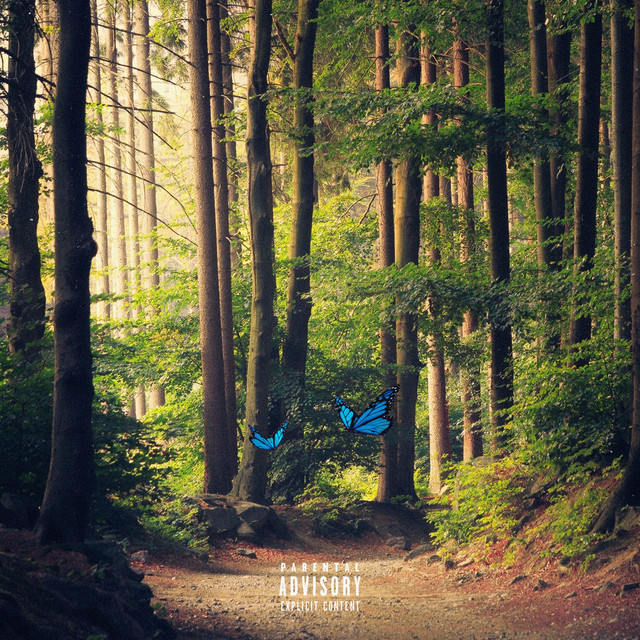 Wings album cover