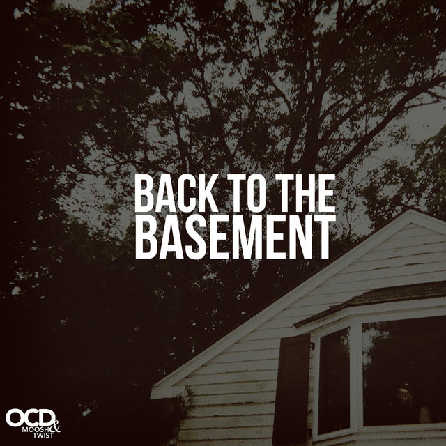 Back to the Basement album cover