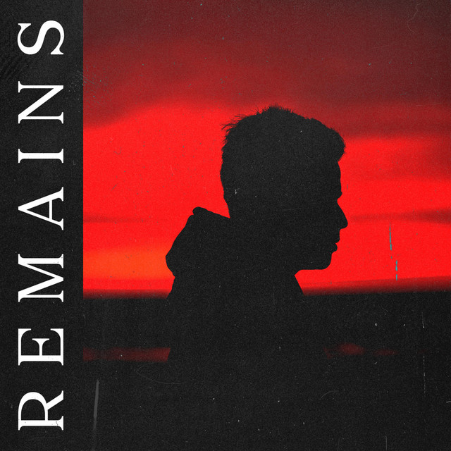 Remains album cover