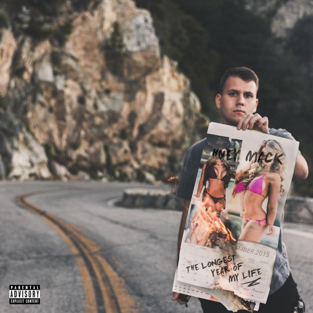 The Longest Year of My Life album cover
