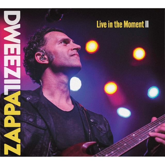 Ibanez UE-405 as heard on Live in the Moment II by Dweezil Zappa (2018)