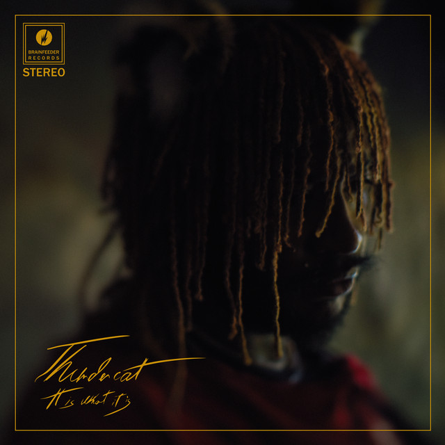 It Is What It Is album cover