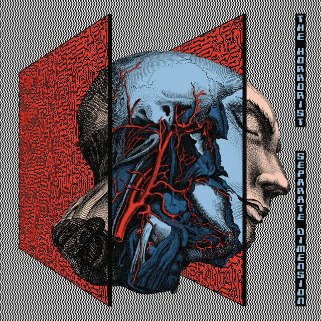 Separate Dimension album cover