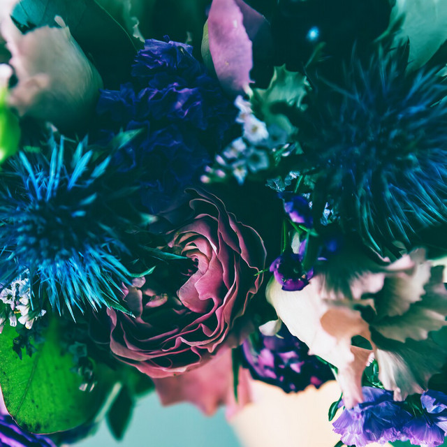 Soma album cover