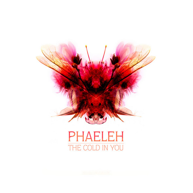 The Cold in You album cover