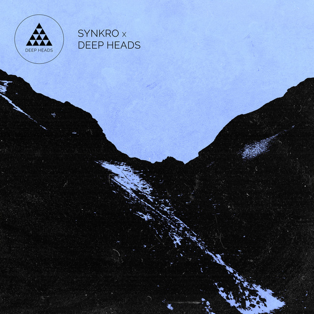 Synkro X Deep Heads album cover