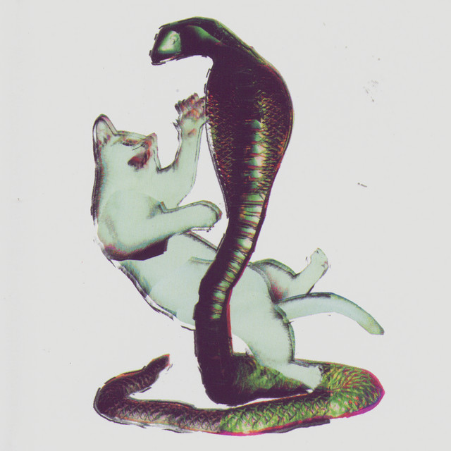 Cat and the Cobra album cover