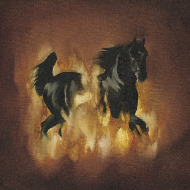The Besnard Lakes Are The Dark Horse album cover