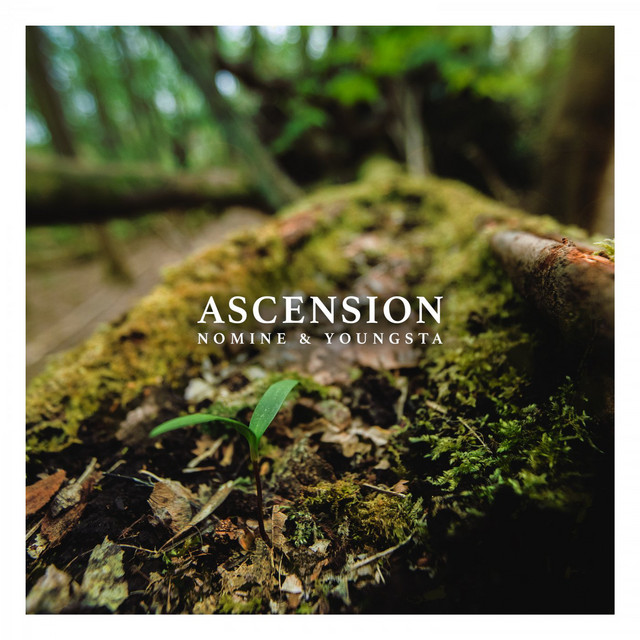 Ascension album cover