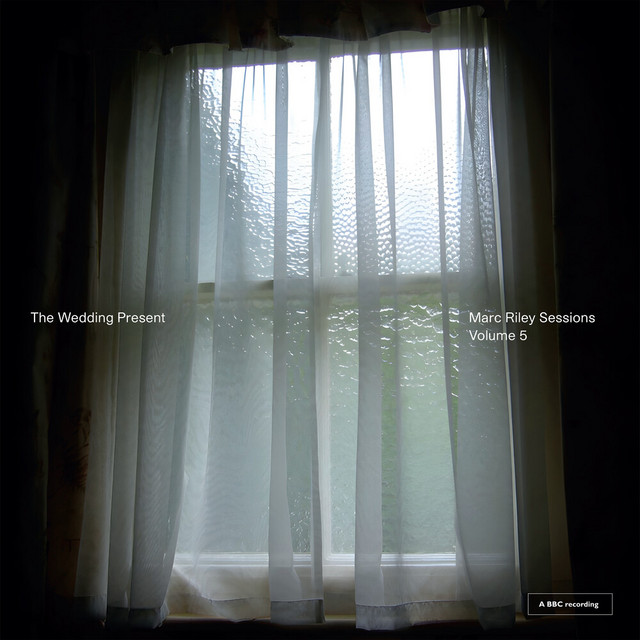 Marc Riley Sessions, Vol. 5 album cover