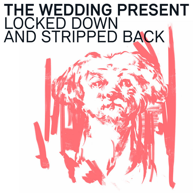 Locked Down and Stripped Back album cover