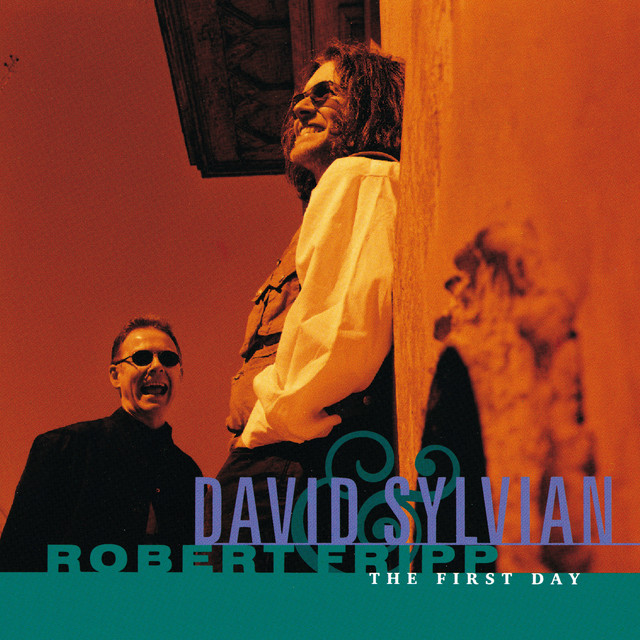 Zoom 9030 as heard on The First Day by Robert Fripp & David Sylvian (1993)