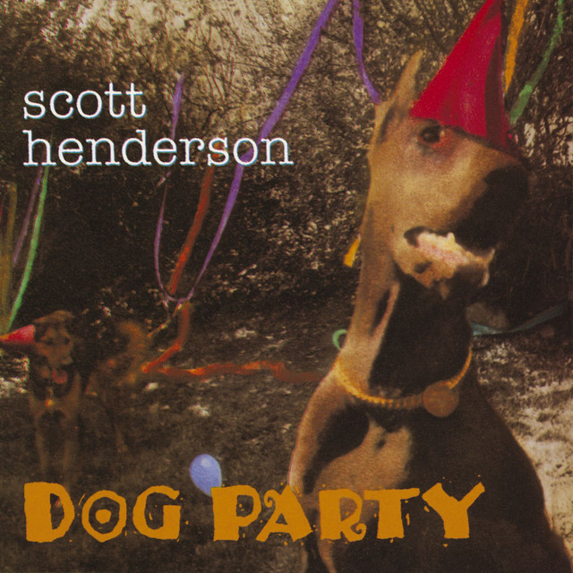 Fender Stratocaster Electric Guitar as heard on Dog Party by Scott Henderson (1994)