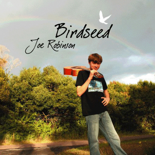 Birdseed album cover