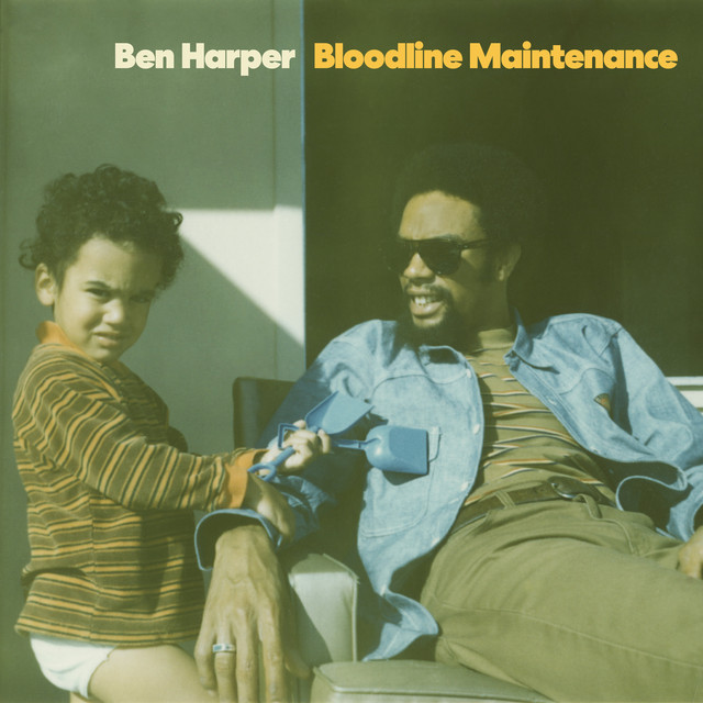 Dumble Overdrive Special Amp Head as heard on Bloodline Maintenance by Ben Harper (2022)