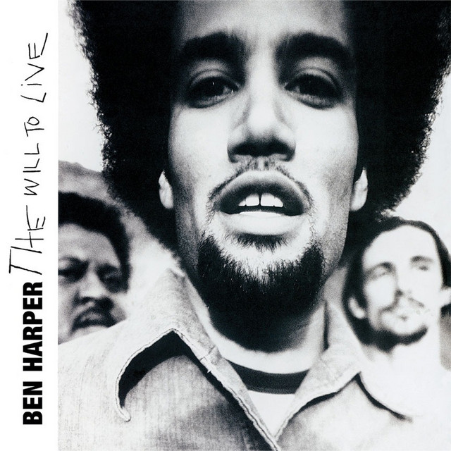 The Will To Live album cover