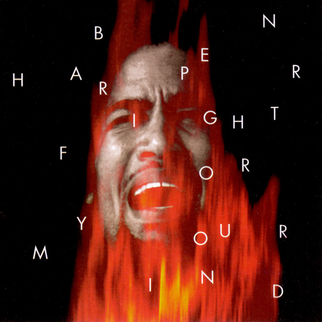Fight For Your Mind album cover