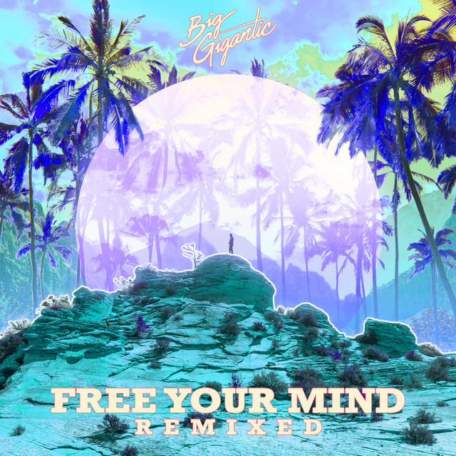 Free Your Mind Remixed album cover