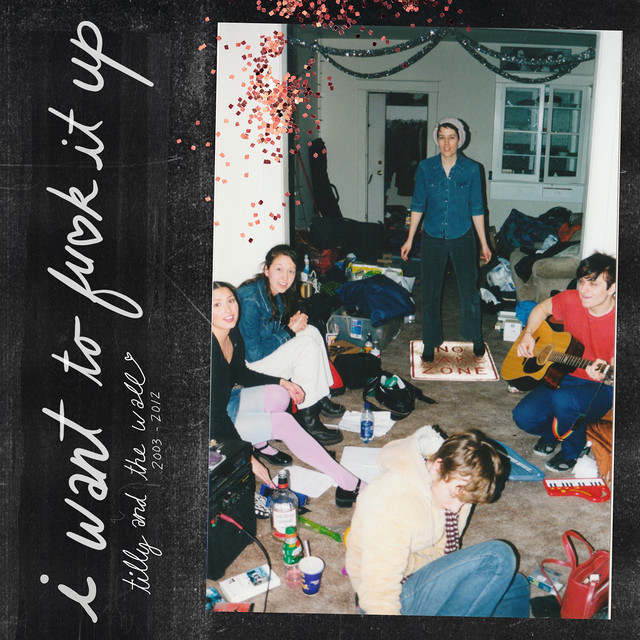 I Want to F*ck It Up (Tilly and the Wall 2002-2013) album cover