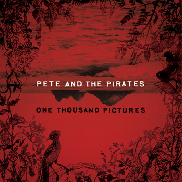 One Thousand Pictures album cover