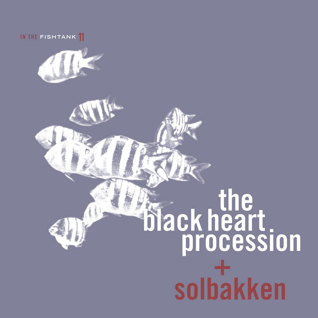 In The Fishtank 11 album cover