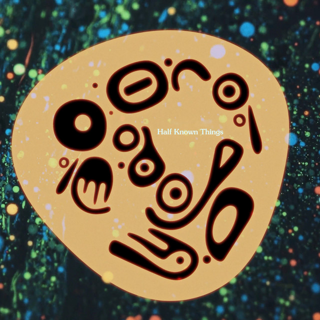 Half Known Things album cover