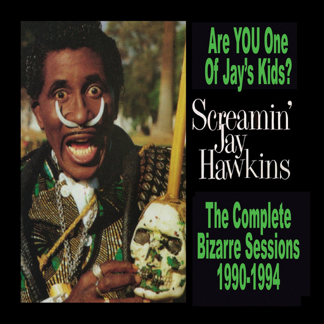 Are You One of Jay's Kids? album cover