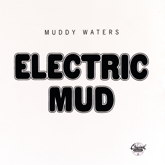 Electric Mud album cover